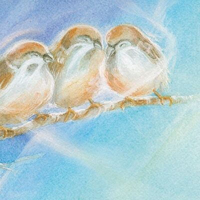 Three sparrows postcard