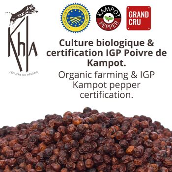 Poivre rouge de Kampot - IGP -Bio- Premium - grains - 200g 3