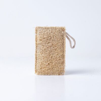 Kitchen & cleaning eco sponge