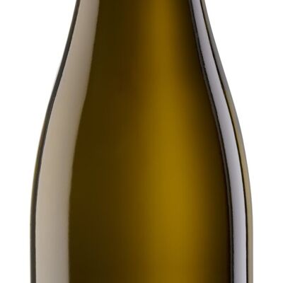 Etiqueta Estate Dry Riesling Mosel