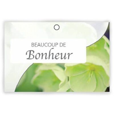 Pure 1001 021 Beaucoup de bonheur x 10 cartes - Carte de vœux