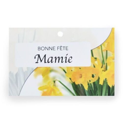 Pure 1001 104 Bonne fête Mamie x 10 cartes - Carte de vœux