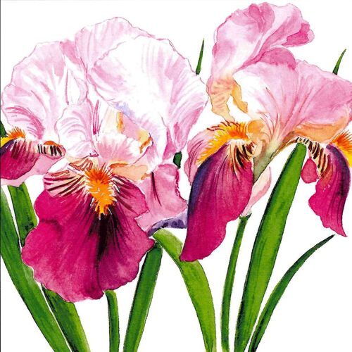 Sweet Iris Napkin 25x25