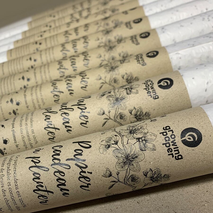 Rotolo di carta regalo da piantare