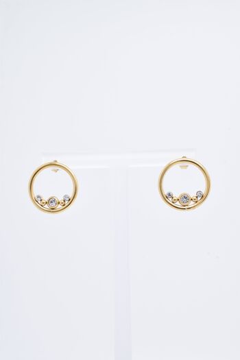 BOUCLES D'OREILLES - BO100100 1