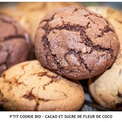 Biscotto biologico P'tit - Cacao e zucchero di fiori di cocco - 1kg (BULK)