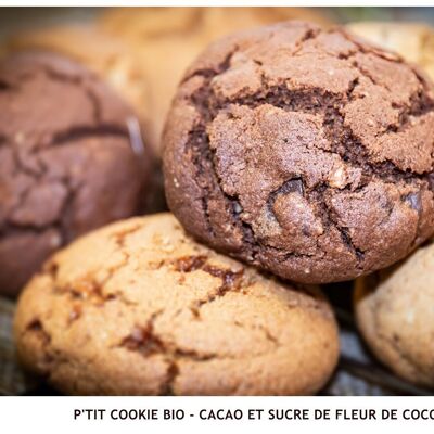 Biscotto biologico P'tit - Cacao e zucchero di fiori di cocco - 1kg (BULK)