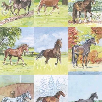 18 tarjetas de identificación de caballos