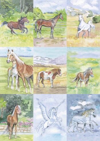 18 cartes d'identification de chevaux 2