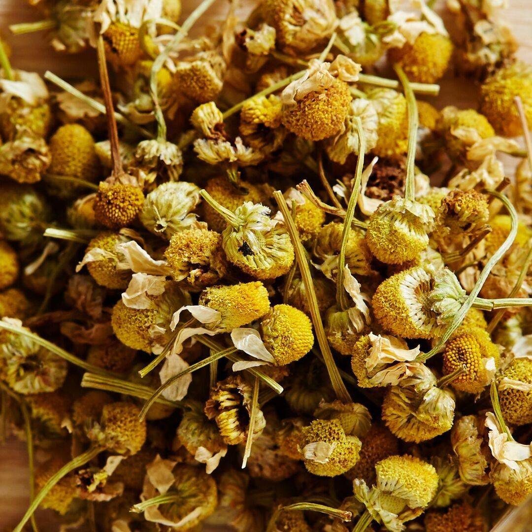 manzanilla matricaria