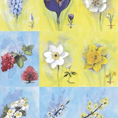 18 cartes de fleurs printanières d'abeilles