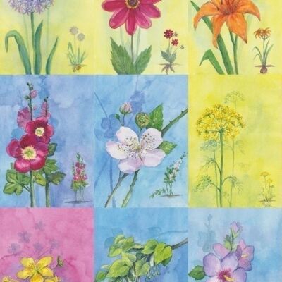 18 tarjetas de flores de verano de abejas