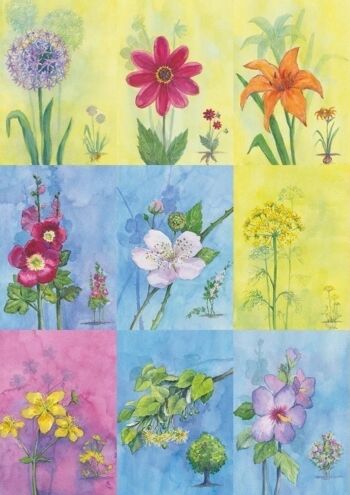 18 cartes de fleurs d'été d'abeilles 1