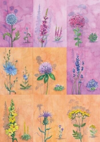 18 cartes de fleurs d'été d'abeilles 3