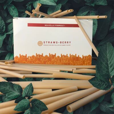 Single-use sugar cane straw 140 x 6 mm - 500 units