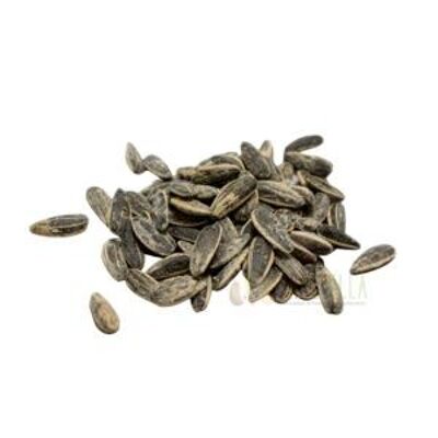 SALTED ROASTED SUNFLOWER SEEDS 1 KG