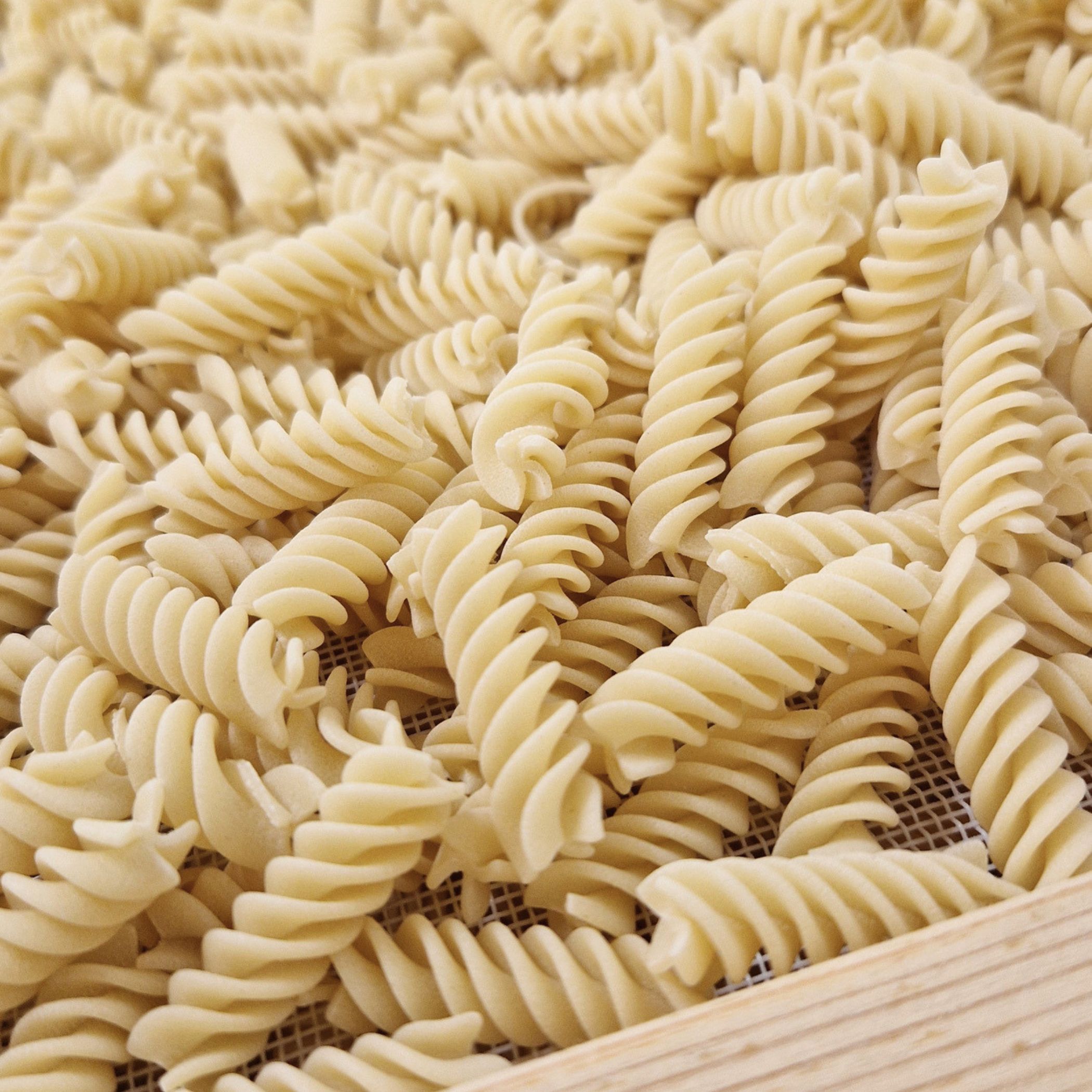 Organic pasta - 03 Fusilli (5kg bag)