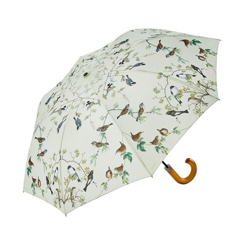 Umbrella - Garden birds