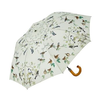 Parapluie - Oiseaux du jardin 1
