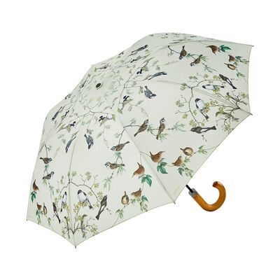 Regenschirm - Gartenvögel