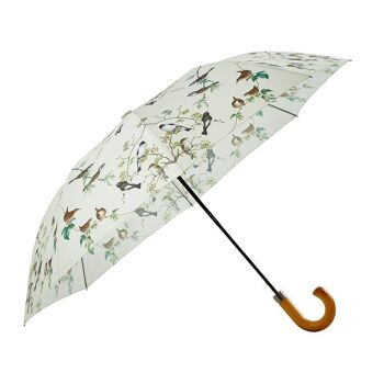 Parapluie - Oiseaux du jardin 2