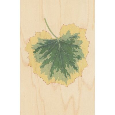 Cartolina in legno - foglia botanica bnf 2