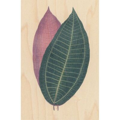 Cartolina in legno - foglio botanico bnf 5