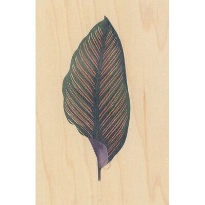 Cartolina in legno - foglia botanica bnf 7