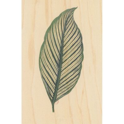 Postal de madera - bnf hoja botánica 10