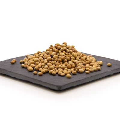 Cilantro