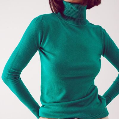 Fine knit high neck jumper in green