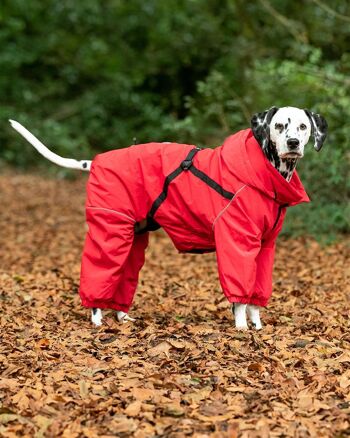 Combinaison de neige d'hiver pour chien - Rouge 2