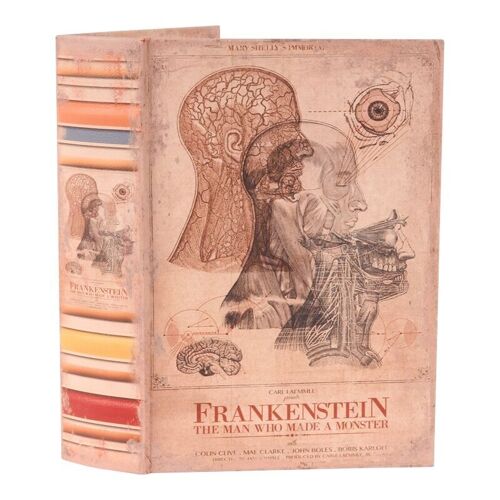 Book box 27 cm Frankenstein