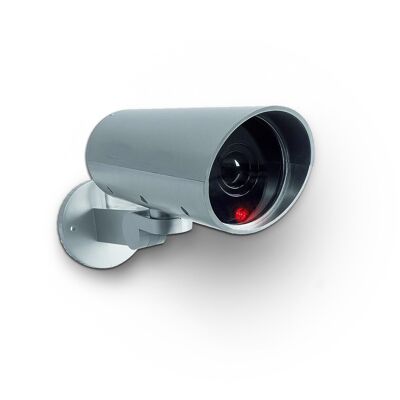 Dummy motorized surveillance camera with motion detector
