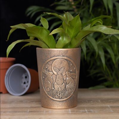 Vaso per piante in terracotta color bronzo Moon Shadows di Lisa Parker