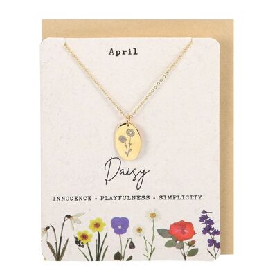 April-Gänseblümchen-Geburtsblumen-Halskettenkarte