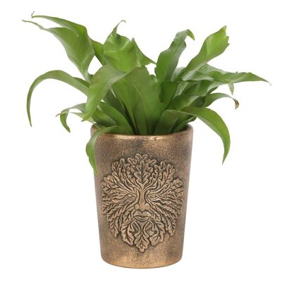 Pot de Plante en Terre Cuite Bronze Green Man par Lisa Parker