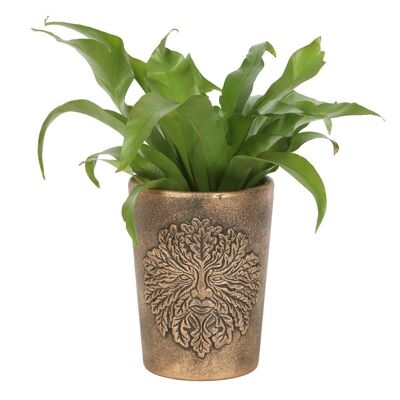 Vaso per piante Green Man in terracotta color bronzo di Lisa Parker