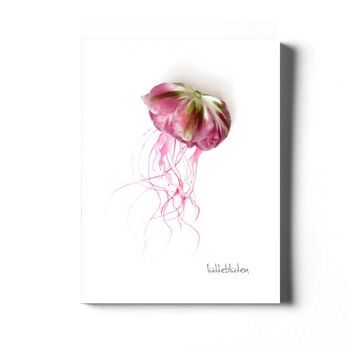 Tulip Medusa - Carte avec noyau de couleur et enveloppe | 078 4