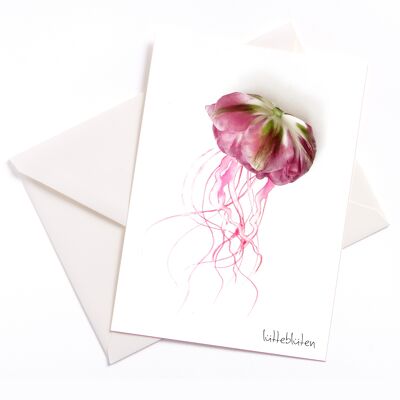 Tulpen-Medusa – Karte mit Farbkern und Umschlag | 078