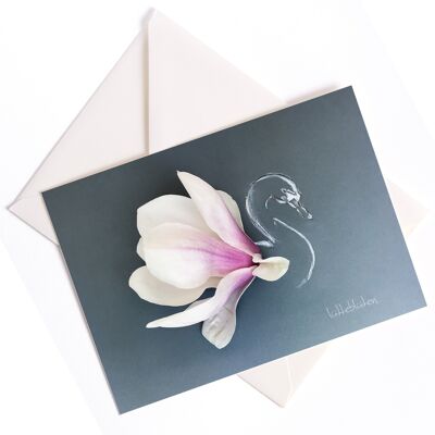 Magnolia-Schwan – Karte mit Farbkern und Umschlag | 049