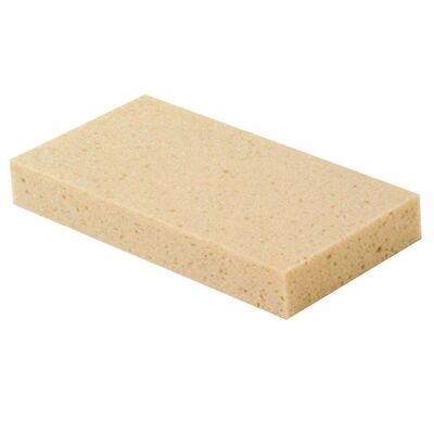 Spare Sponge For Professional Float 14x29 cm.