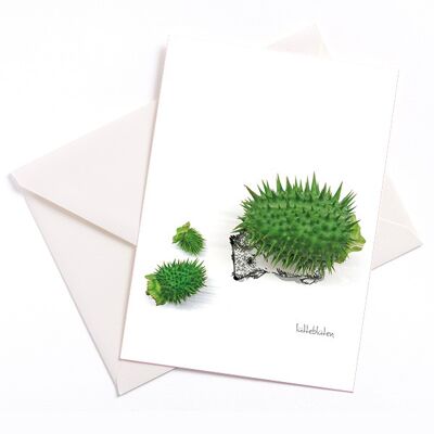 Igelgurke – card with color core and envelope | 084