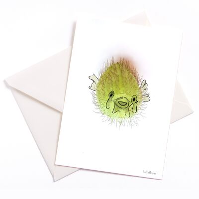 Kugelfisch – Karte mit Farbkern und Umschlag | 077