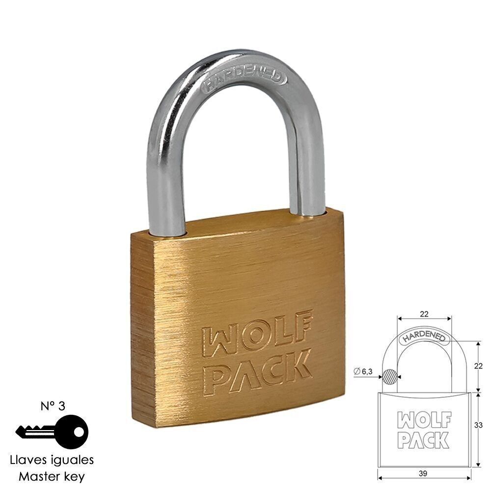 Brass Padlock Normal Arch Keys Alike 40 mm. No.3