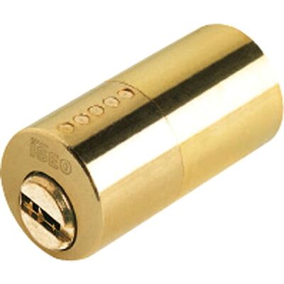 Iseo R6 Security Cylinder For 510 Lock