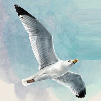 Seagull  Napkin 33x33