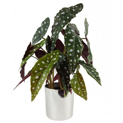 Vaso per piante con fogliame artificiale 40 cm Pianta artificiale di Begonia Maculata