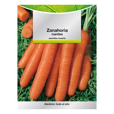 Semi di carota precoci di Nantes (7 grammi).  Semi di ortaggi, orticoltura, orticoltura, semi da giardino.