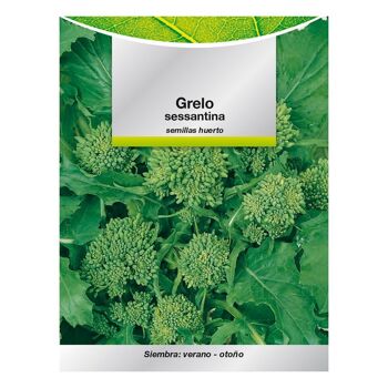 Graines de brocoli Grelo (10 grammes) Graines de légumes, horticulture, horticulture, graines de jardin.